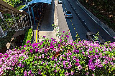 《鬼泣5》维吉尔战斗曲《Bury the Light》播放量过亿